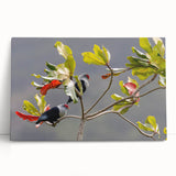 Black and white photograph of Seychelles landscape on large stretched canvas, ideal for kitchen wall art.