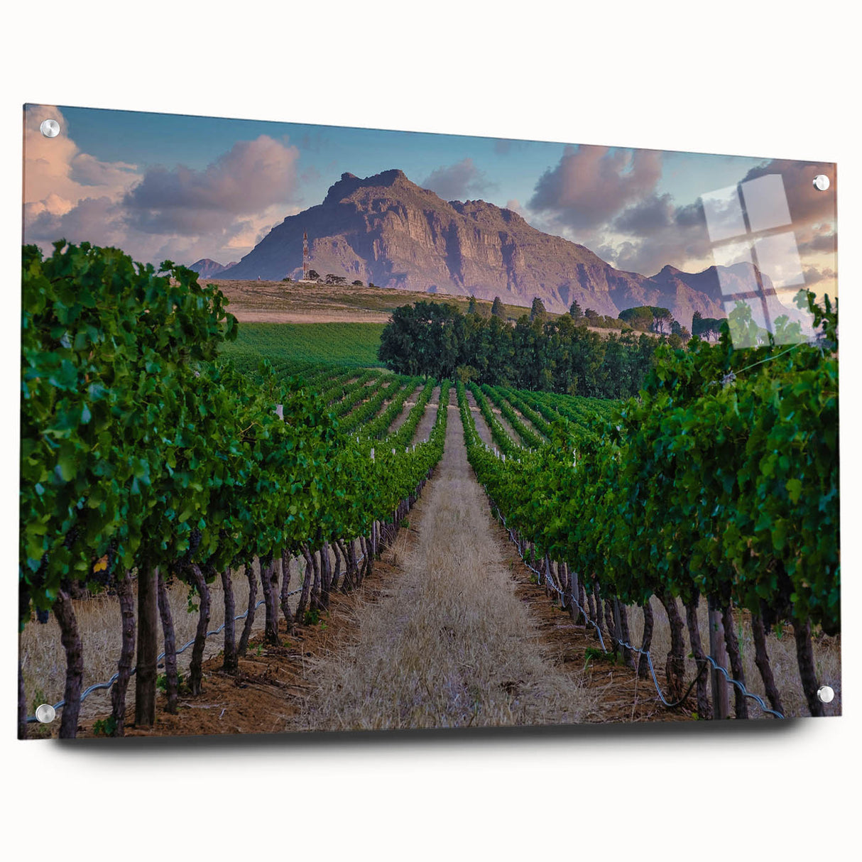 Acrylic print of a South African landscape in earthy tones, suitable for dining room decor.