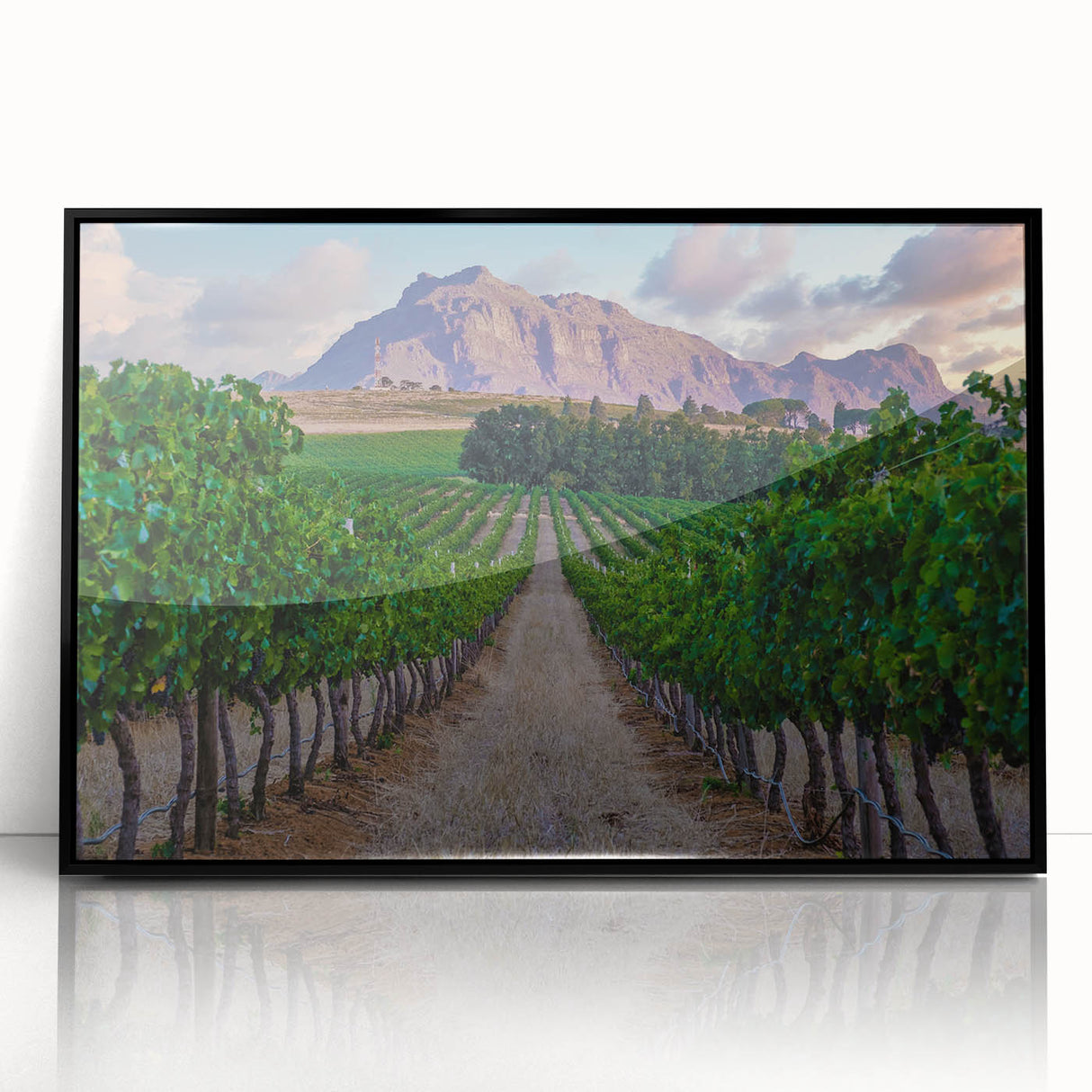 Large abstract wall art depicting African scenery in black and gray tones on a framed acrylic.