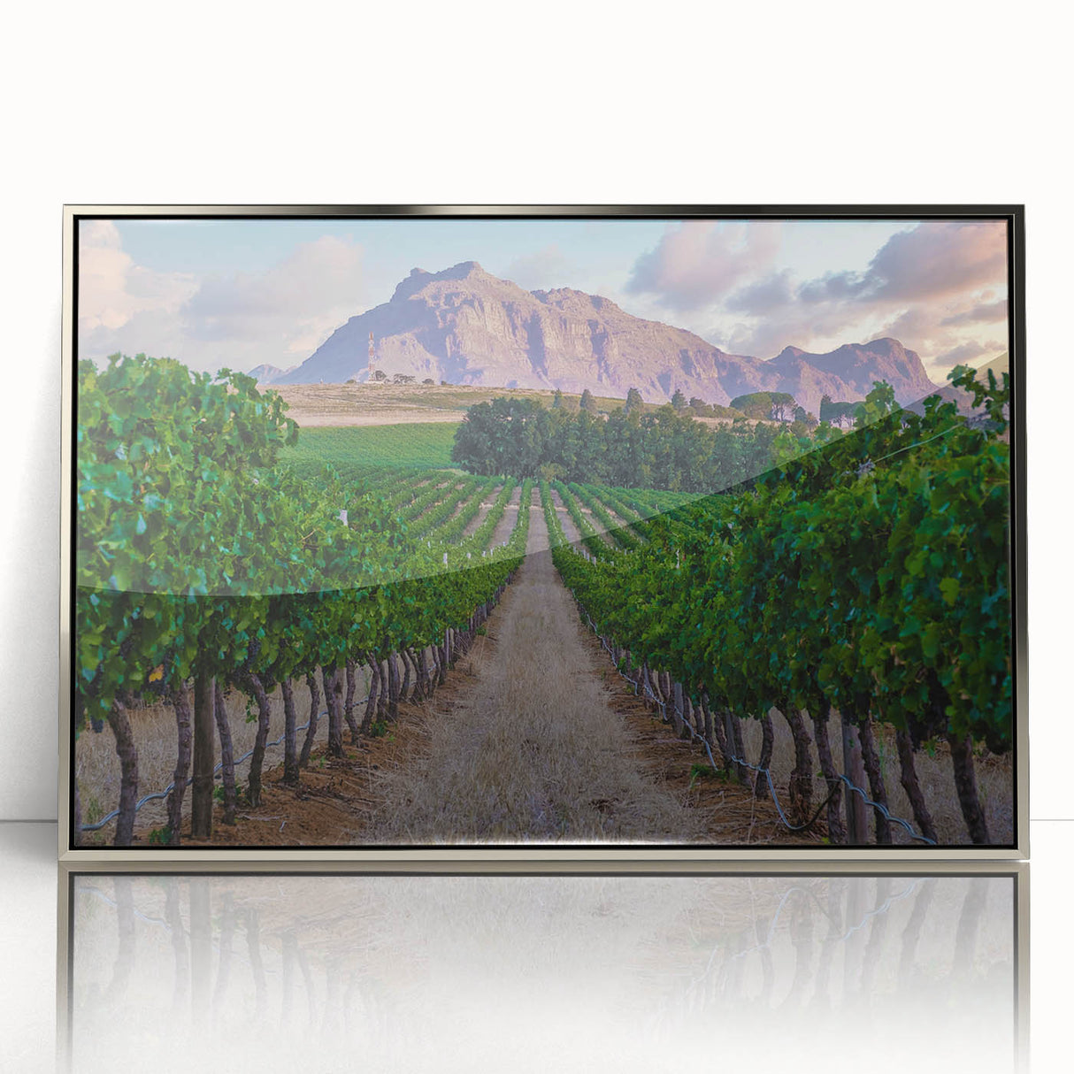 Mid-century modernist art depicting a South African landscape in muted earth tones on a silver-framed acrylic print.