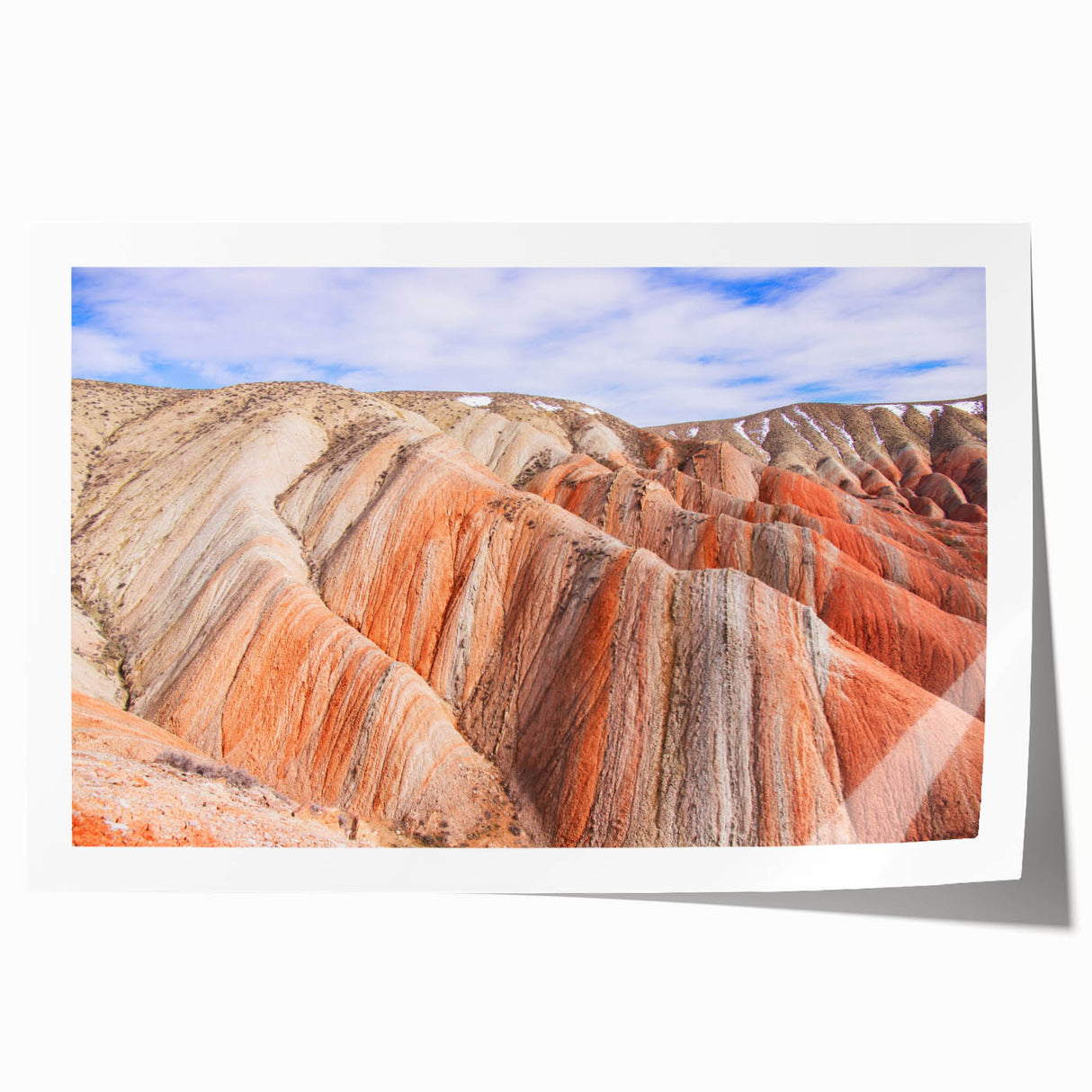 Extra large rolled print depicting vibrant floral art, ideal for art wall dining room or classy bathroom decor.