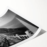 Extra large wall art featuring line art flowers on a rolled print, with neutral and earth tones.