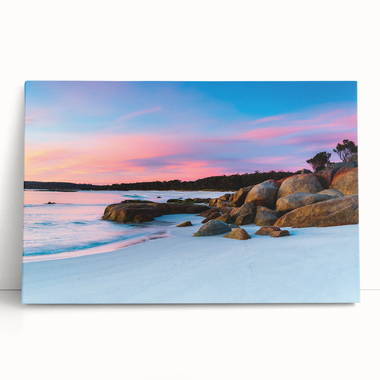 Black and white stretched canvas of Tasmanian scenery, ideal for kitchen wall art or bedroom ambiance.