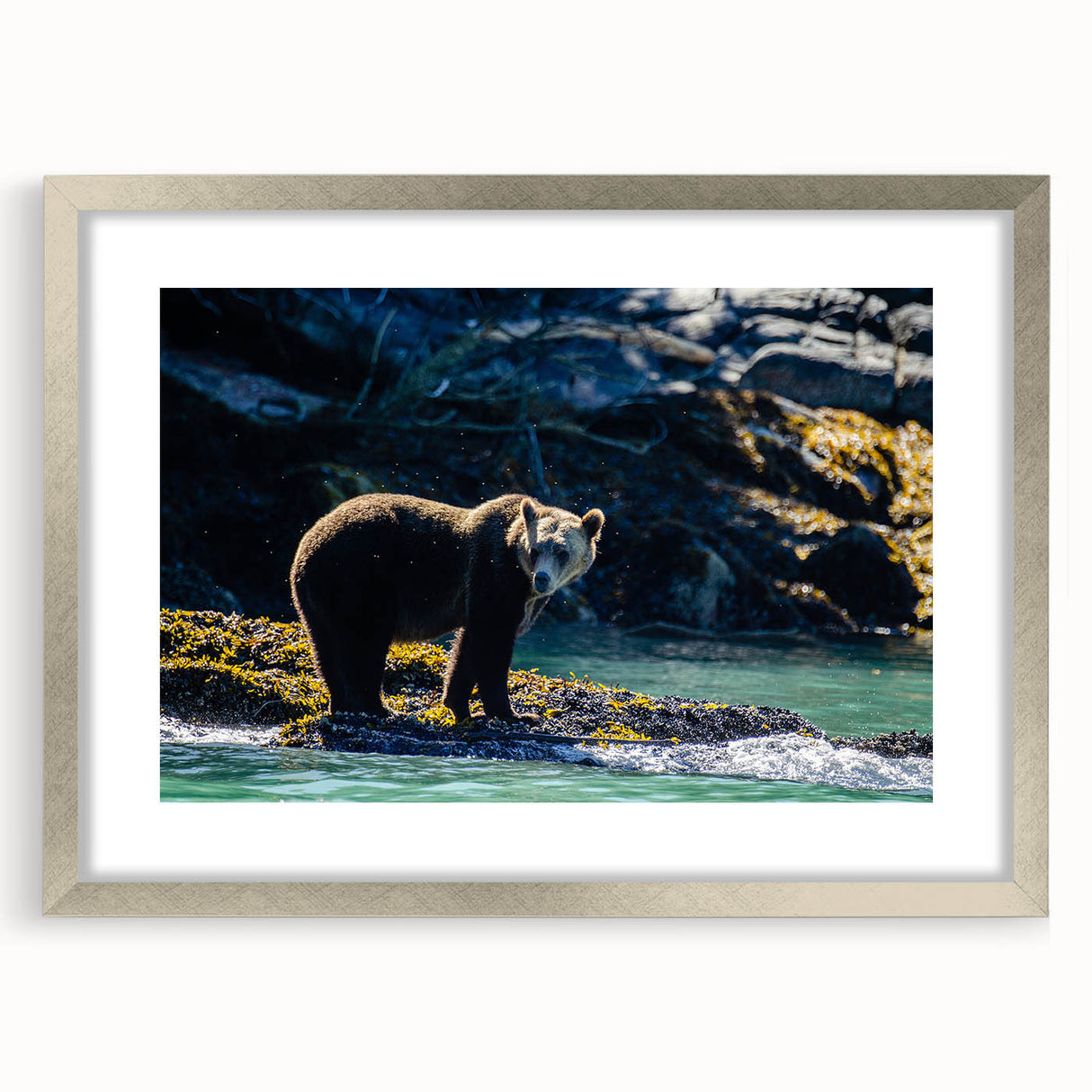 Textured art print of British Columbia scenery in abstract style, with muted earth tones on a framed silver mat.