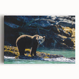 Black and white photograph of British Columbia scenery on large stretched canvas, ideal for kitchen wall art.