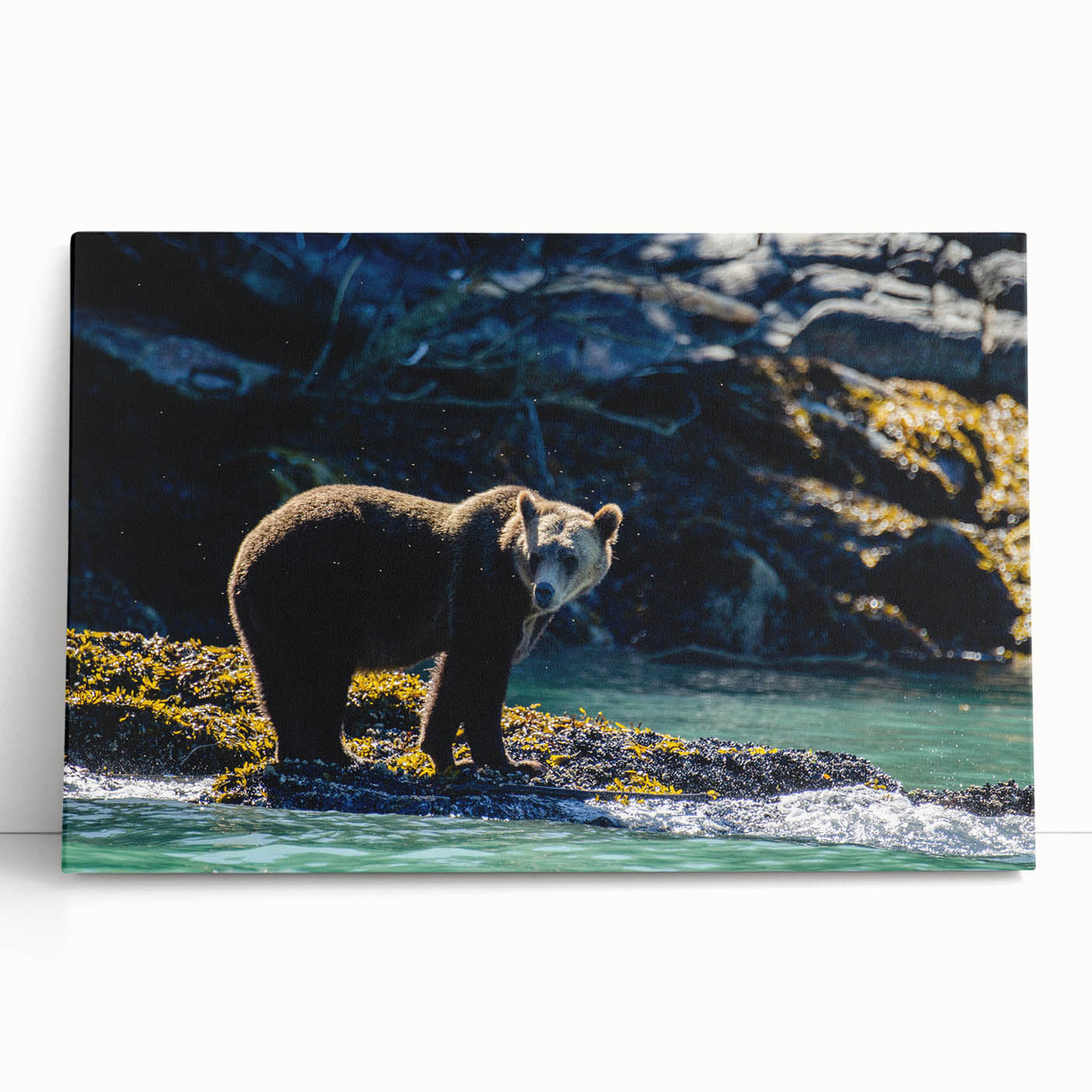 Black and white photograph of British Columbia scenery on large stretched canvas, ideal for kitchen wall art.