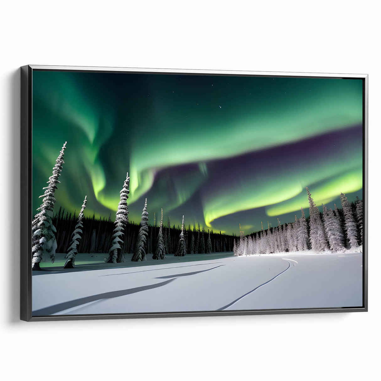 Black and white framed canvas of Northwest Territories landscape, ideal for bedroom wall art.