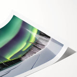 Extra large wall art featuring line art flowers in black on a white background, rolled print format.