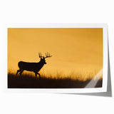 Extra large rolled print depicting a serene Saskatchewan landscape with muted green and blue tones.