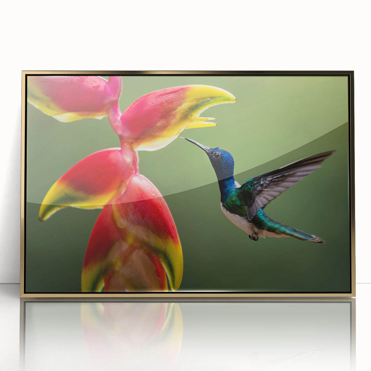 Large acrylic print of a Costa Rican landscape in mid-century modernist style, framed in gold.