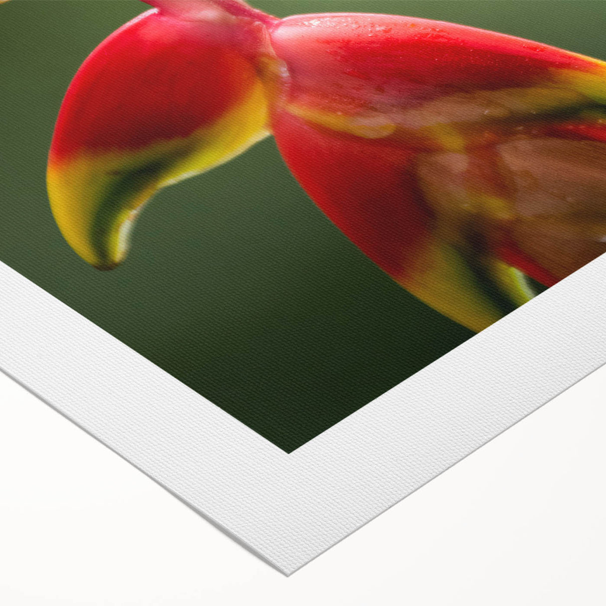 Art deco poster featuring a lush Costa Rican landscape in vibrant green tones on rolled canvas.