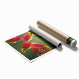 Extra large rolled print of a Costa Rican landscape with vibrant green hues, ideal for classy bathroom wall art.