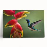 Black and white photograph of a Costa Rican landscape on stretched canvas, suitable for kitchen wall art or bedroom decor.