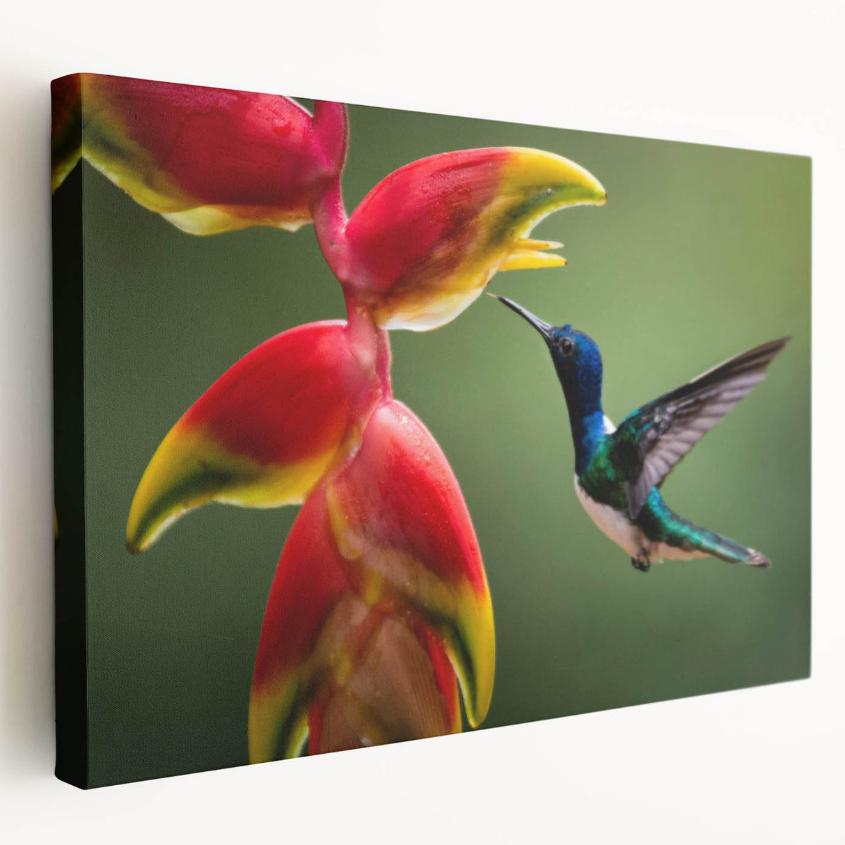 Large canvas print depicting a lush Costa Rican landscape in vibrant green and blue tones, suitable for kitchen wall art.