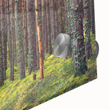 Large abstract wall art featuring a mid-century modernist design of Estonia scenery in muted earth tones.