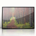 Large abstract wall art depicting a European Estonian scenery in muted earth tones on a framed acrylic.