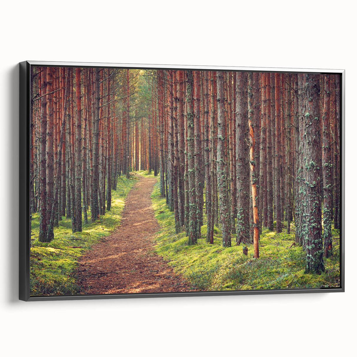 Black and white framed canvas featuring a vintage-style Estonian landscape, ideal for bedroom wall decor.