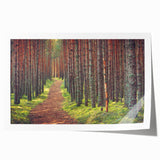 Extra large rolled print of a European Estonian landscape with muted green and blue tones, ideal for art wall dining room.