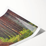 Extra large rolled print featuring line art flowers in monochrome, ideal for large living room wall art.