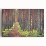 Black and white large art print of a European cityscape on stretched canvas, ideal for kitchen wall art or bedroom decor.