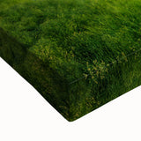 Large art of Florence landscape in black and white on stretched canvas, suitable for bedroom wall decor.