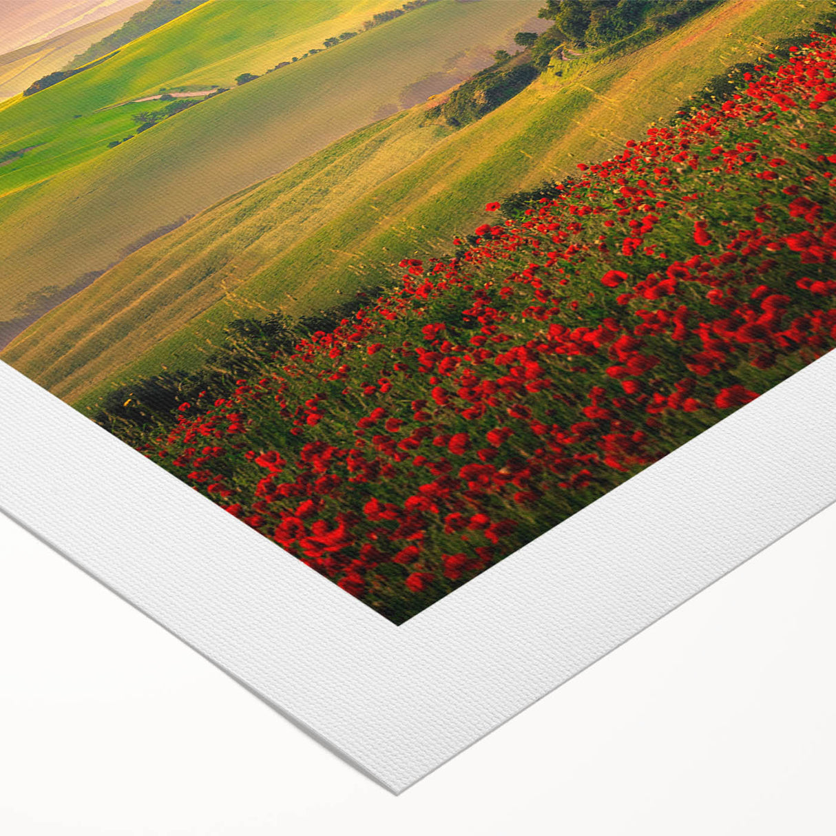Art deco poster of Tuscany landscape on rolled canvas, featuring muted earth tones, ideal for dining room wall art.