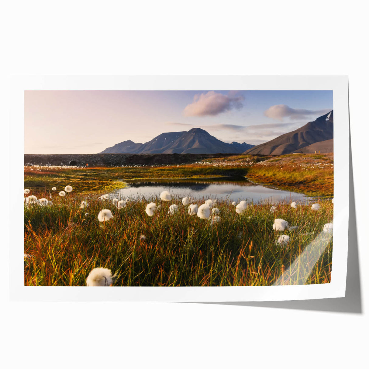 Rolled print of a Norwegian landscape featuring pastel shades and floral elements, ideal for art wall dining room.