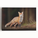 Black and white photo of a European city street on a large stretched canvas, suitable for kitchen wall art.