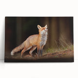 Black and white photograph of a serene Swedish landscape on stretched canvas, ideal for kitchen wall art.