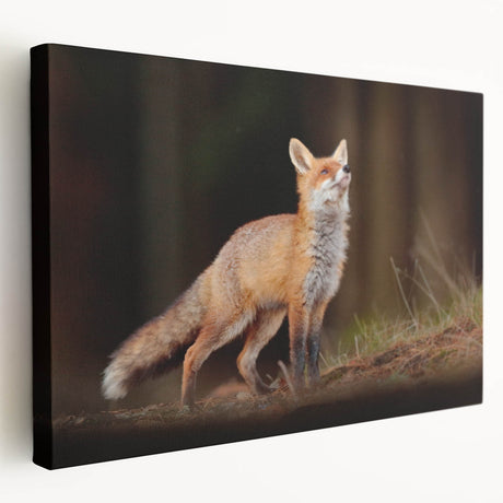 Scenic European landscape on stretched canvas, featuring muted earth tones, ideal for kitchen wall art.