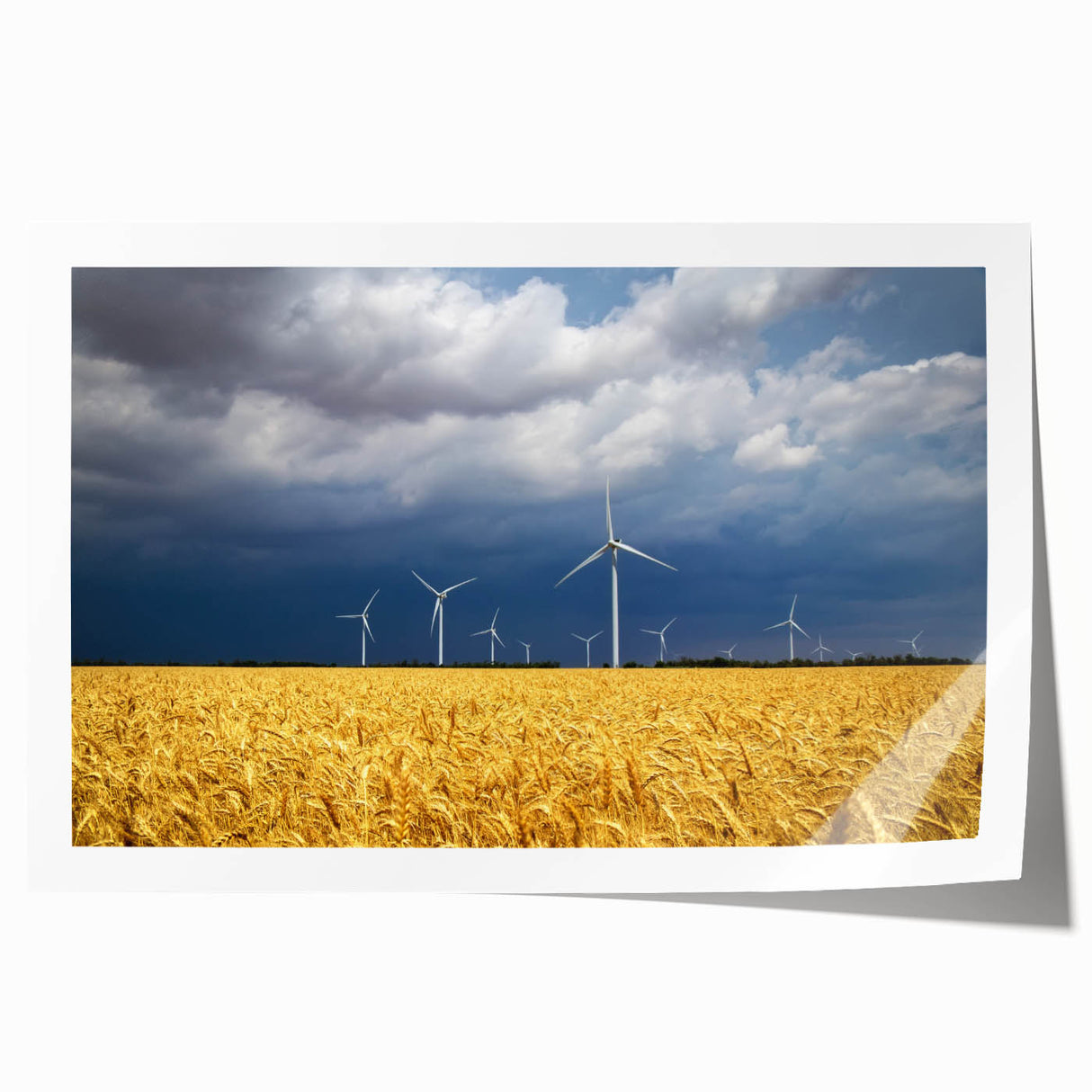 Rolled print of a serene Ukrainian landscape with soft floral motifs, ideal for art wall dining room.