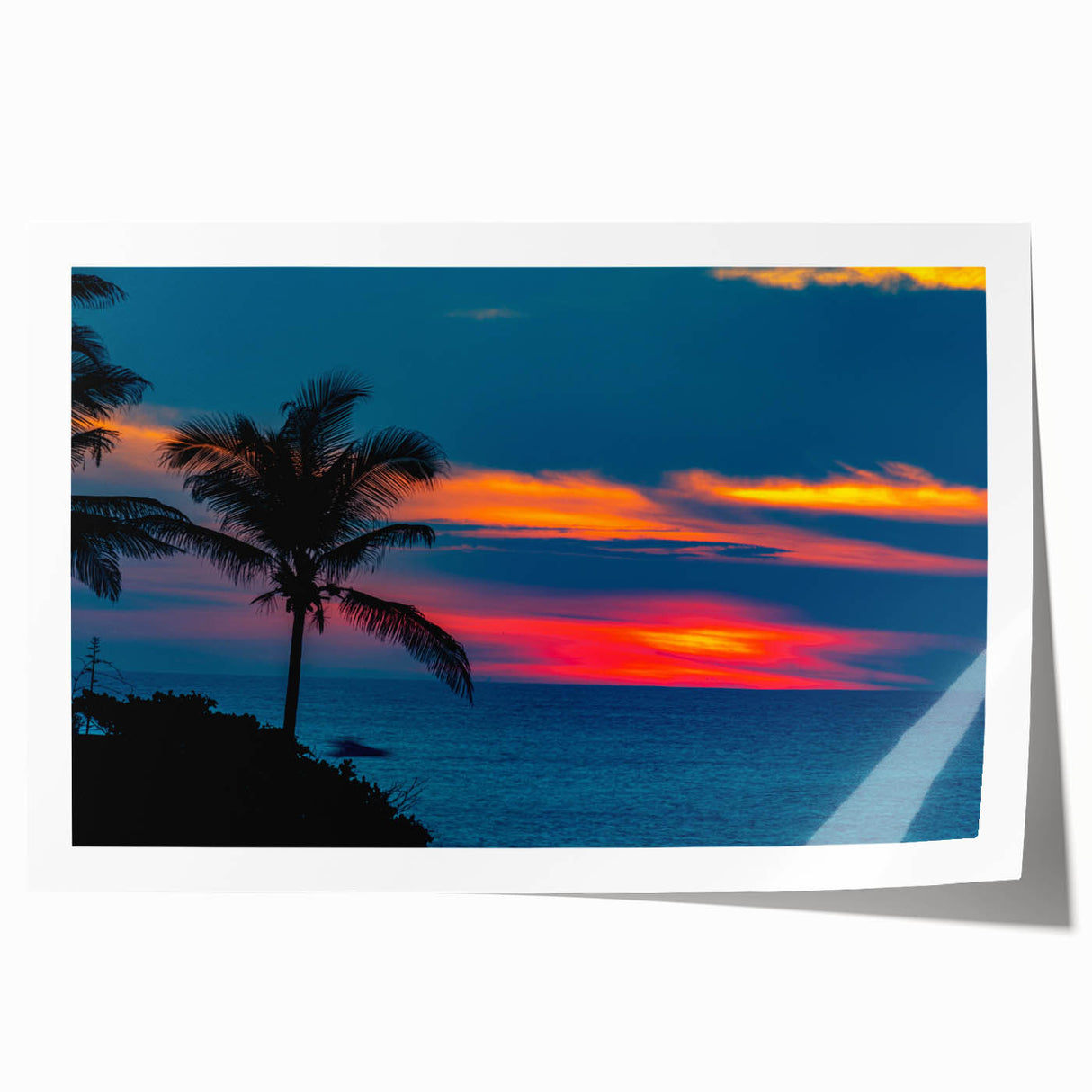 Rolled print of Acapulco scenery with vibrant floral designs in pastel shades, ideal for art wall dining room.