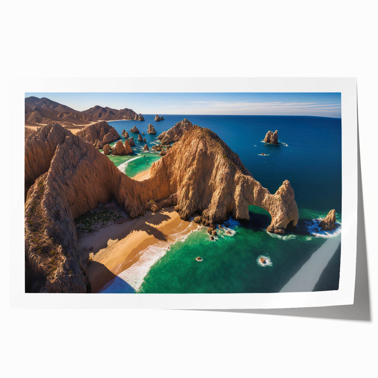 Extra large rolled print of Baja California scenery with vibrant floral elements, ideal for art wall dining room.
