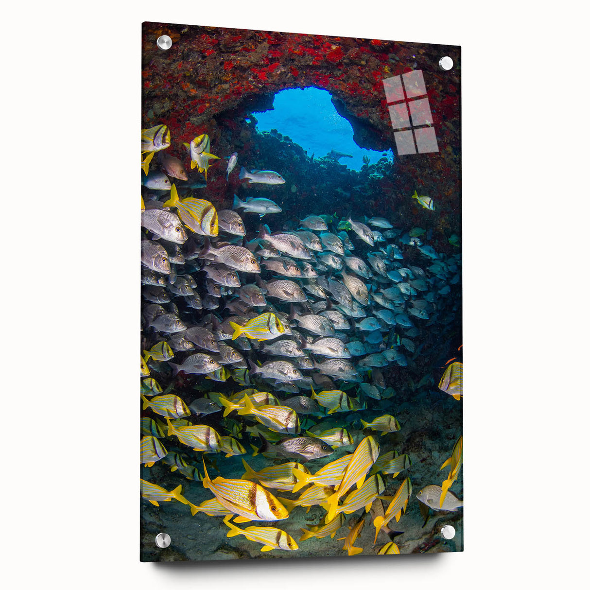 Large abstract wall art of Quintana Roo scenery on acrylic glass, in muted blue and green tones, ideal for dining room decor.