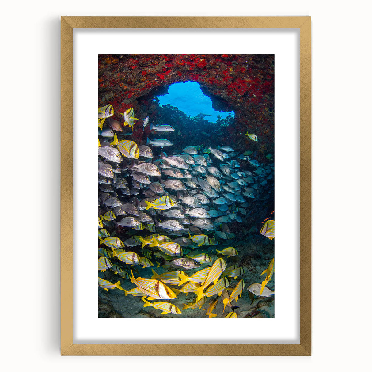 Extra large abstract art print depicting a textured Mexican Quintana Roo scenery in muted earth tones, framed in gold.