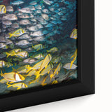 Extra large framed canvas featuring a textured black wall art scene of Quintana Roo, Mexico with colorful accents.