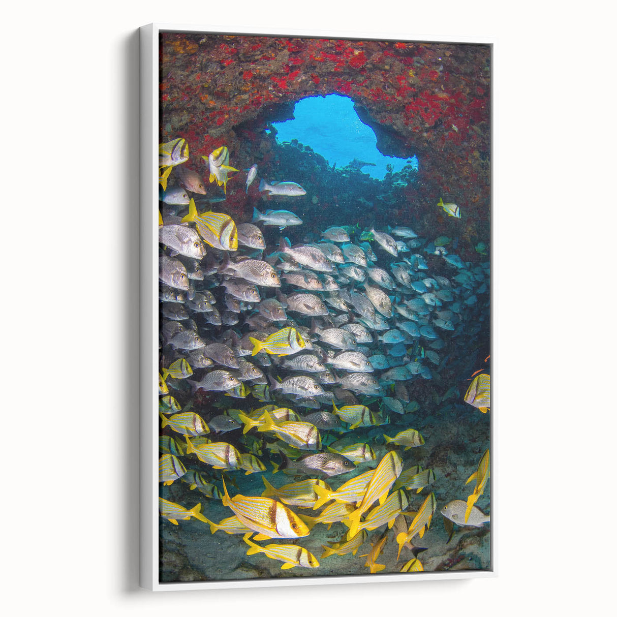 Vintage poster art of Quintana Roo scenery on framed canvas, featuring vibrant colors on a white background.