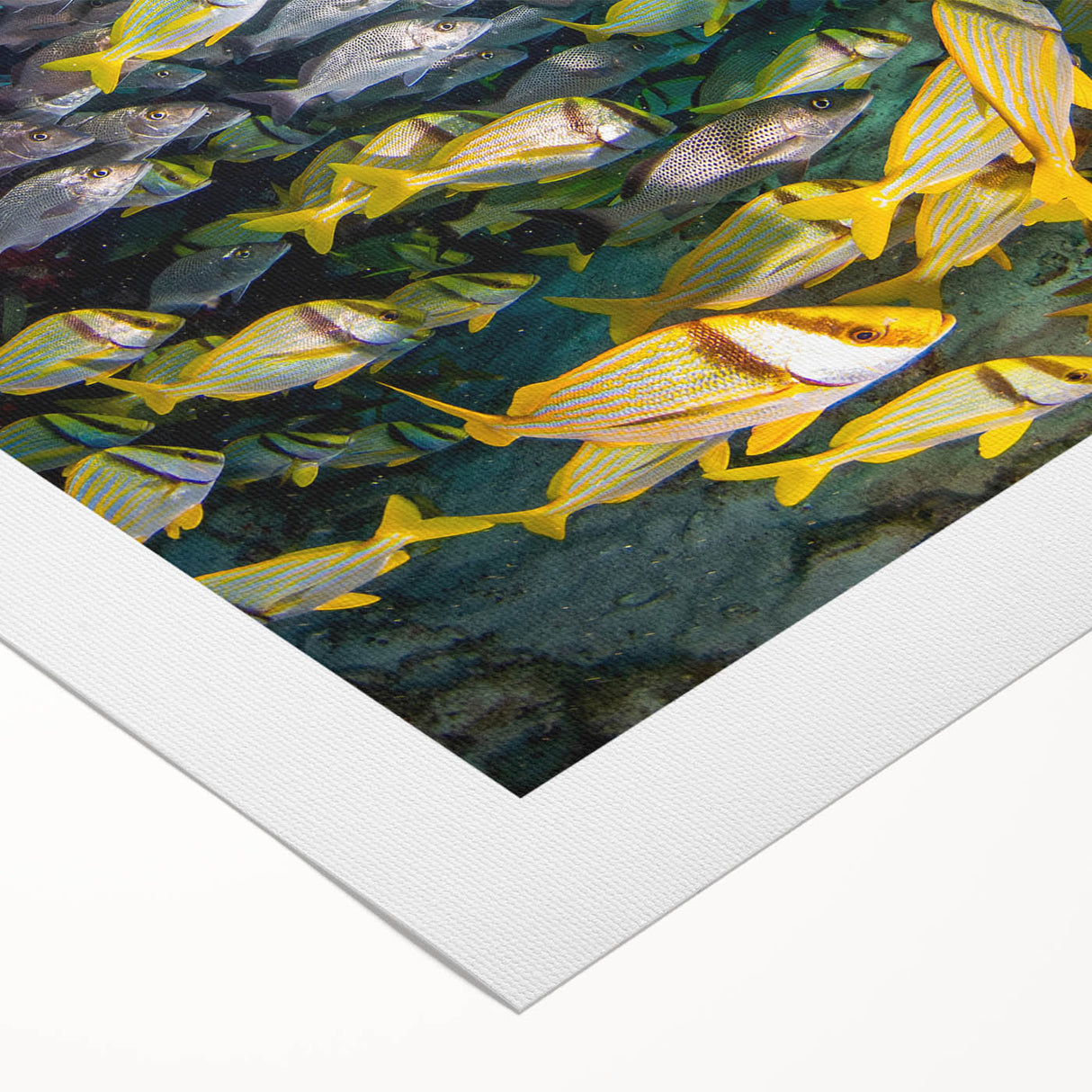 Art deco poster of Quintana Roo scenery in muted blue and green shades on rolled canvas, ideal for dining room wall art.