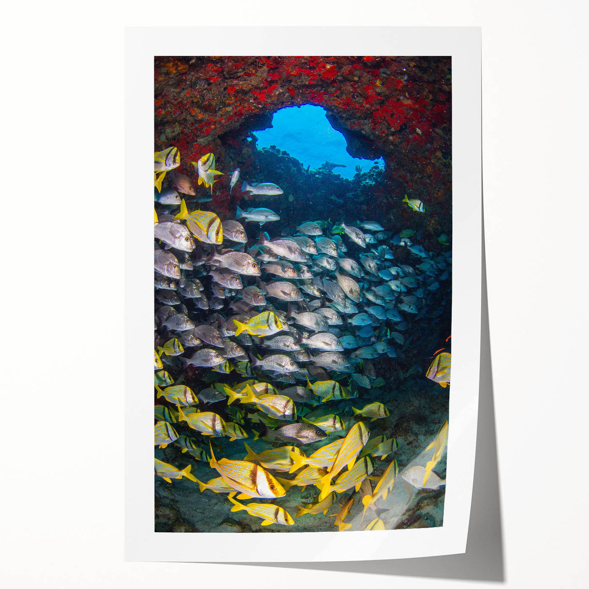 Extra large rolled print of Quintana Roo scenery with vibrant floral elements, ideal for art wall dining room.