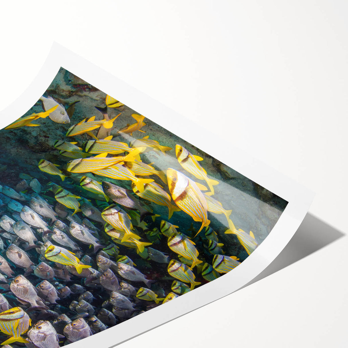 Extra large wall art featuring line art flowers in muted earth tones on rolled canvas, ideal for large living room decor.