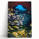 Black and white stretched canvas of Quintana Roo scenery, ideal for kitchen wall art or bedroom ambiance.