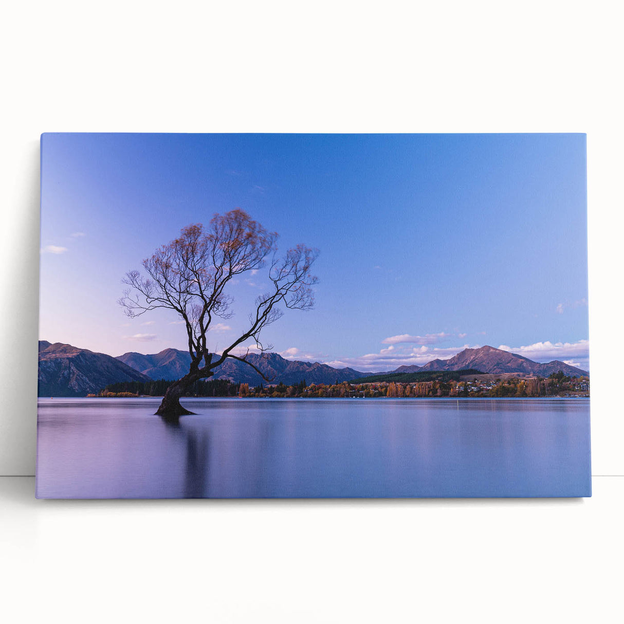 Black and white photo of Otago, New Zealand on stretched canvas, ideal for kitchen wall art or bedroom.
