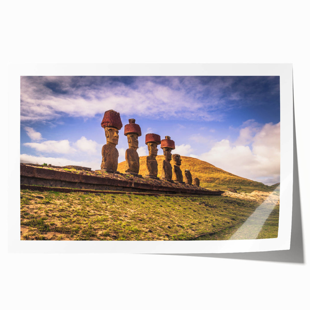 Extra large rolled print featuring a vibrant floral scene set in Chile, ideal for art wall dining room.