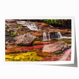 Rolled print of a Colombian landscape with lush greenery and floral elements, suitable as art wall dining room decor.