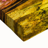 Large art featuring a black and white landscape painting of Colombian scenery on stretched canvas.