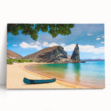 Black and white stretched canvas of Galapagos scenery, ideal for kitchen wall art or bedroom ambiance.