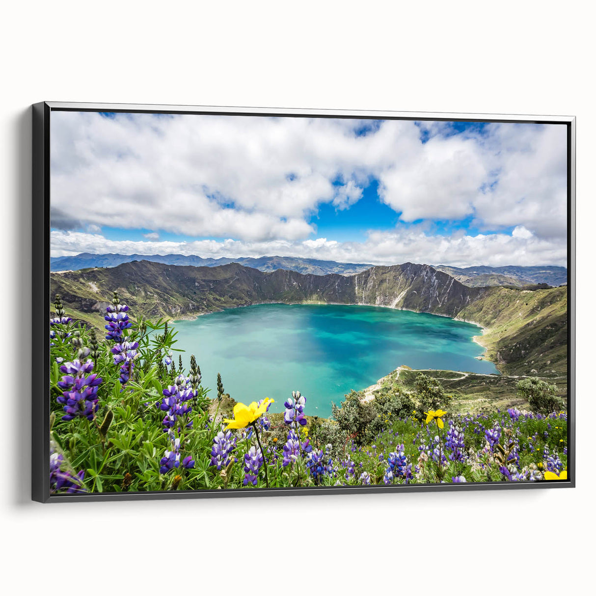 Black and white vintage poster art of Ecuador landscape on framed canvas, ideal for bedroom wall decor.