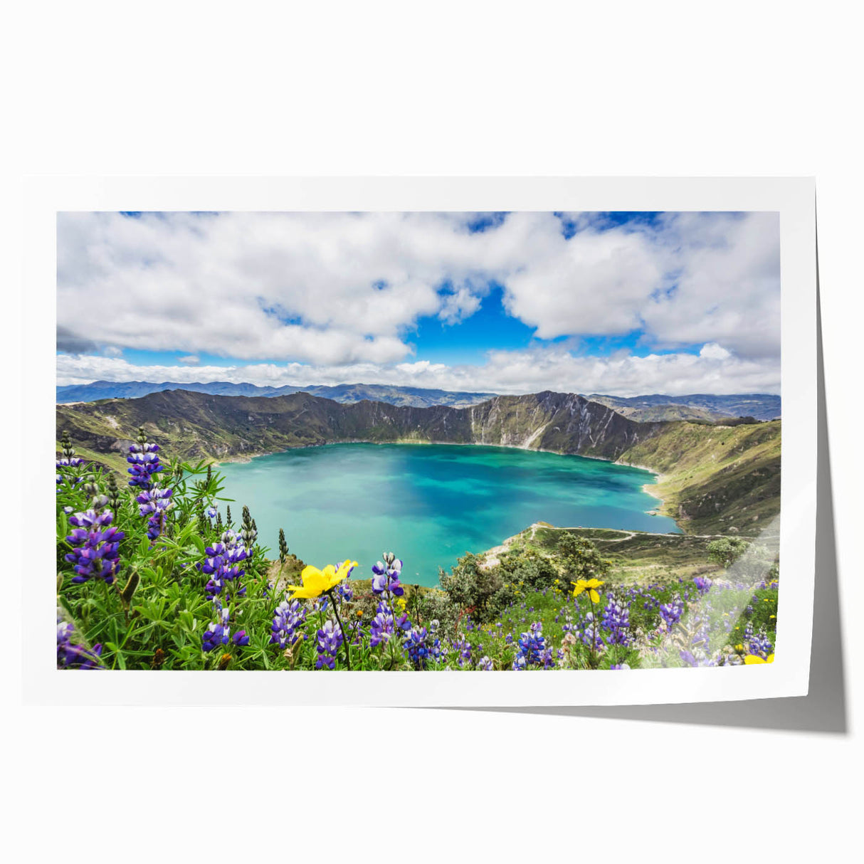 Extra large rolled print of an Ecuadorian landscape featuring vibrant green tones, ideal for art wall dining room.