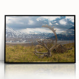 Large abstract wall art of Denali, Alaska in muted earth tones on a black-framed acrylic print.