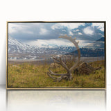 Mid-century modernist style large art print of Denali, Alaska, in muted earth tones on a framed acrylic.